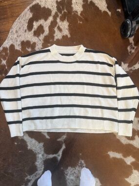 Striped Cream and Black Cropped Sweater